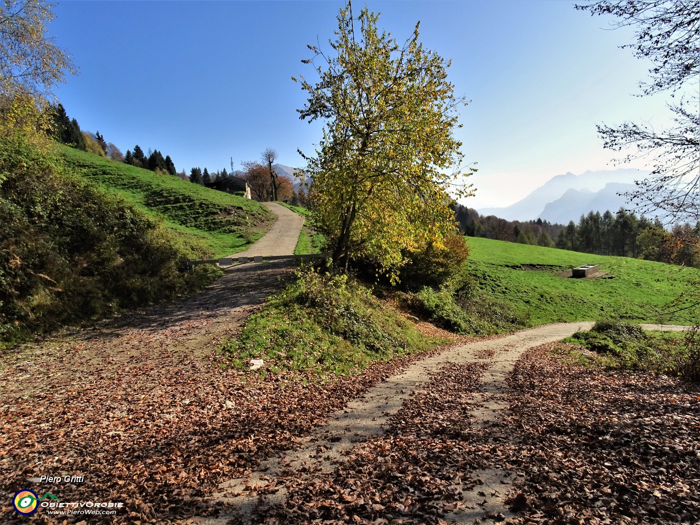 18 Lascio a sx la stradetta per Baita Campo ed entro su stradetta per cascine.JPG